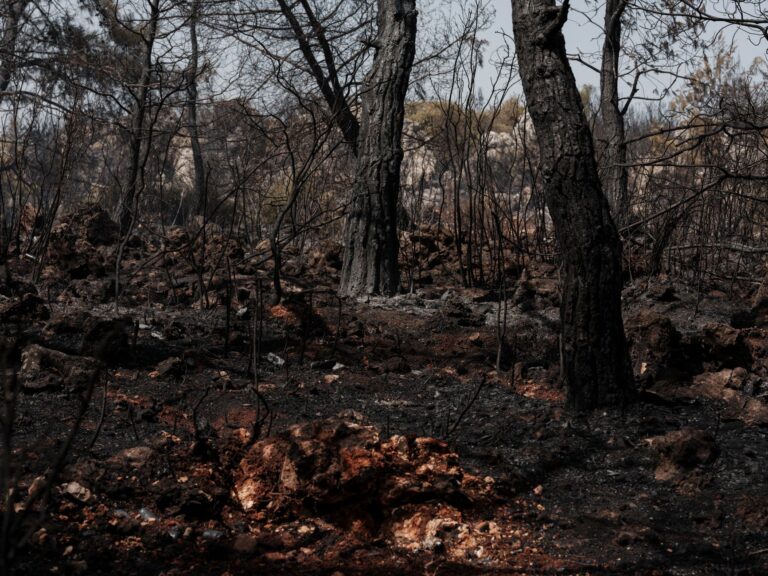 Incendie des Landes : le feu de Luglon est « fixé » après 1 700 hectares brûlés, 250 évacués rentrent chez eux