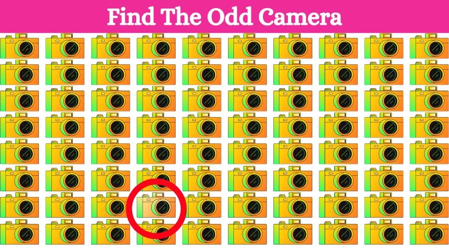 Hidden Odd Camera