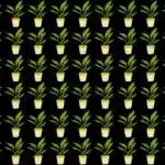 Découvrez cette illusion d'optique incroyable : Trouvez la plante insolite en seulement 18 secondes et préparez-vous à être stupéfait !