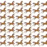 optical-illusion-brain-challenge-can-you-find-the-odd-horse-in-12-seconds-64de12262c66a45389428-900.webp.webp.webp