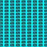 optical-illusion-brain-challenge-if-you-have-50-50-vision-find-the-number-479-among-429-i-64e45d399e52312265107-900.webp.webp.webp