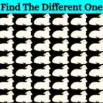 optical-illusion-brain-challenge-if-you-have-eagle-eyes-find-the-odd-sheep-in-15-seconds-64e0badd09f7f30454502-900.webp.webp.webp
