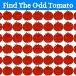 Le défi cérébral à couper le souffle qui mettra à l'épreuve vos yeux de faucon : Trouvez la tomate bizarre en seulement 15 secondes ! Cliquez pour tenter l'expérience incroyablement captivante !