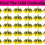Ce défi cérébral d'illusion optique vous laissera sans voix : trouvez l'ombrelle bizarre en 15 secondes si vous avez des yeux d'aigle !
