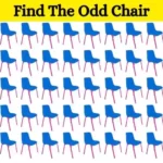 optical-illusion-eye-test-can-you-find-the-odd-chair-in-20-seconds-64edd5ef9f6cf72471456-900.webp.webp.webp