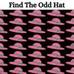 Test de vue avec Illusion d'Optique : Trouvez le Chapeau Étrange en 20 Secondes et Préparez-vous à Être Ébahis !