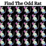 L'épreuve oculaire ultime : Défiez l'illusion d'optique et trouvez le rat insolite en seulement 20 secondes ! Vous n'en croirez pas vos yeux !