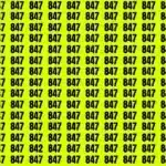optical-illusion-eye-test-if-you-have-sharp-eyes-find-the-number-842-in-10-secs-64d3217e2098c65268382-900.webp.webp.webp