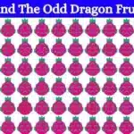 Le défi visuel le plus époustouflant qui teste votre acuité visuelle : Trouvez le Dragon fruit intrus en seulement 18 secondes ! Cliquez ici pour montrer vos super pouvoirs d'observation !