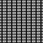 Ce test visuel d'illusion d'optique vous laissera sans voix - Trouvez le nombre 674 en seulement 16 secondes !