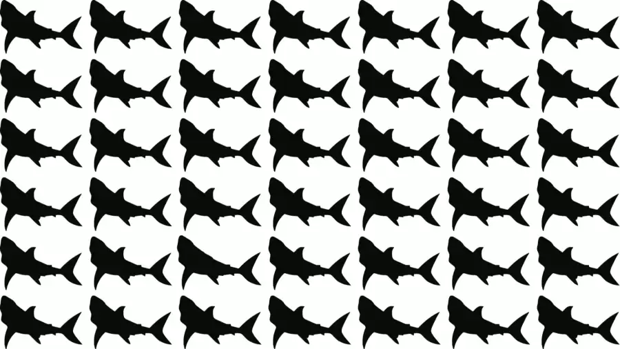 Test de réflexion : Pouvez-vous repérer le poisson étrange en 10 secondes