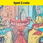 mind-blowing-optical-illusion-can-you-spot-the-cats-owner-among-the-girls-in-just-12-seconds