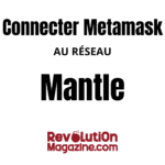 Connectez facilement votre Metamask au réseau Mantle !